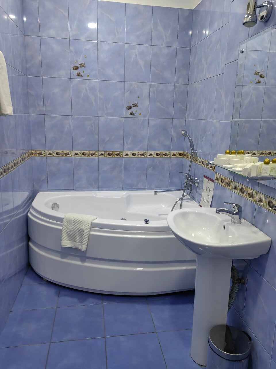 Гостиница Астерия Санкт-Петербург-247